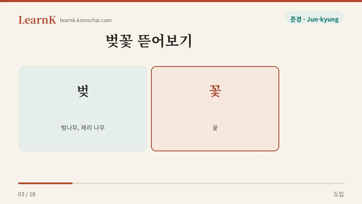 벚 더하기 꽃