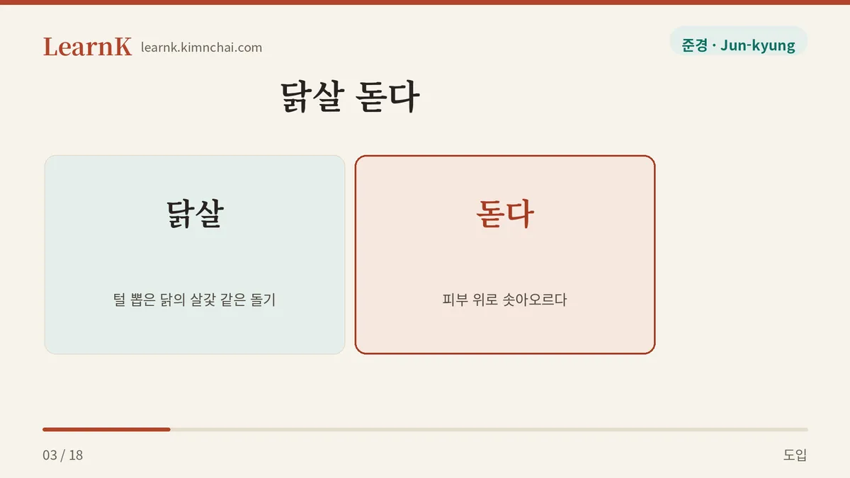 닭살 + 돋다
