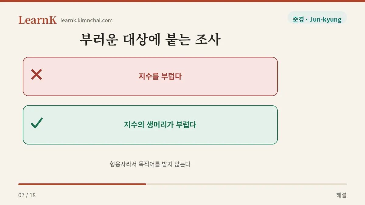 을·를이 아니라 이·가