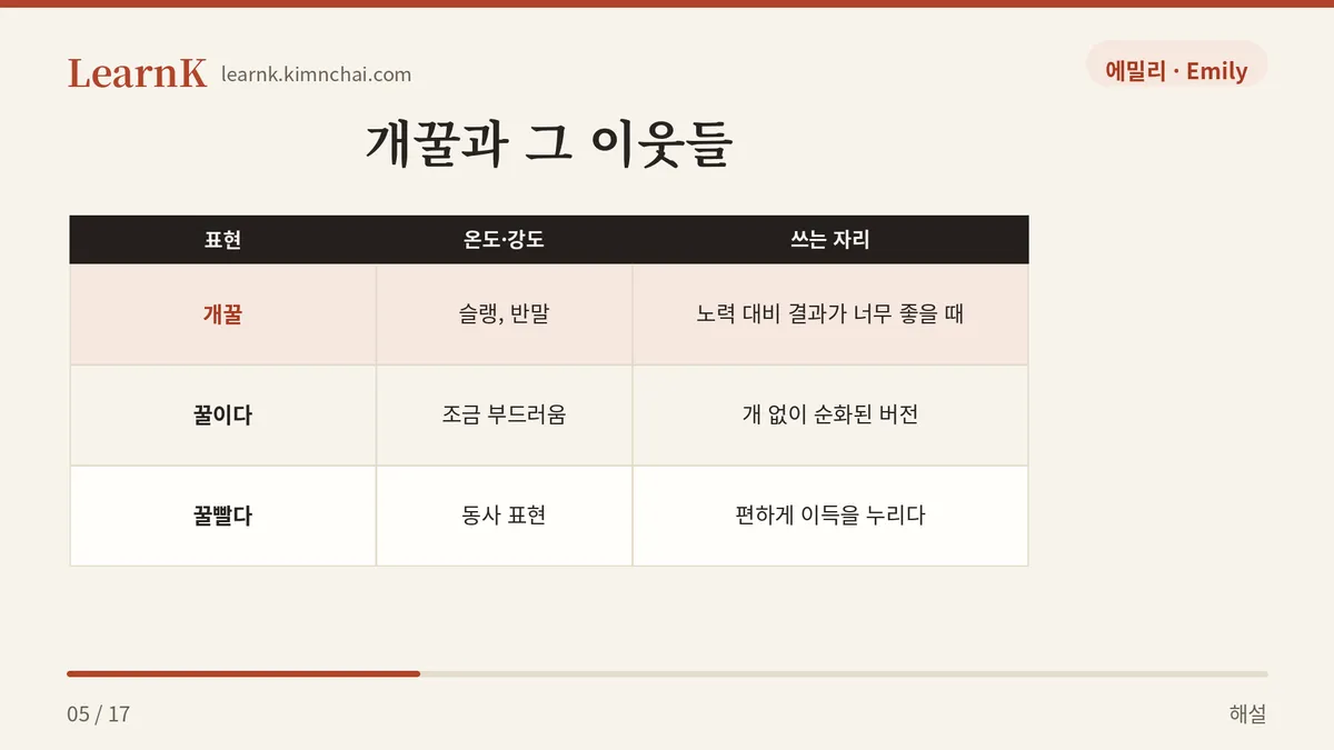 비슷한 말 비교