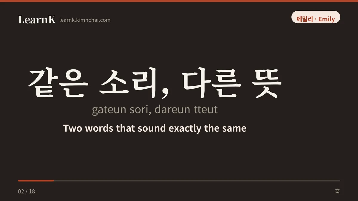 같은 소리, 다른 뜻