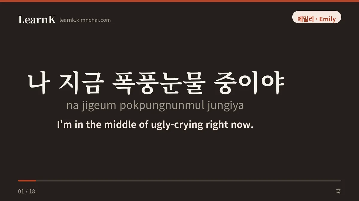 나 지금 폭풍눈물 중이야
