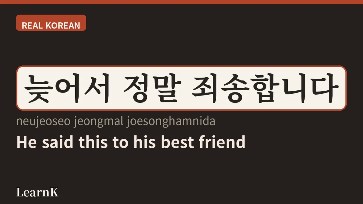 미안해 vs 죄송합니다: 사과의 '온도'를 맞추는 법