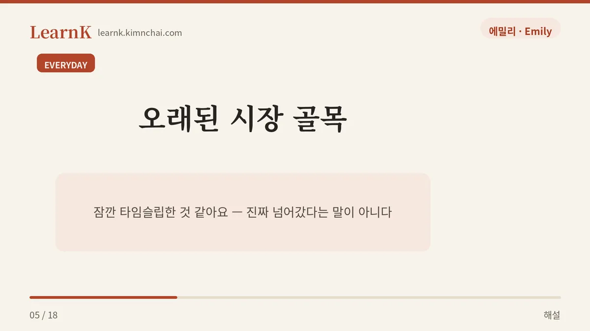 일상의 감탄